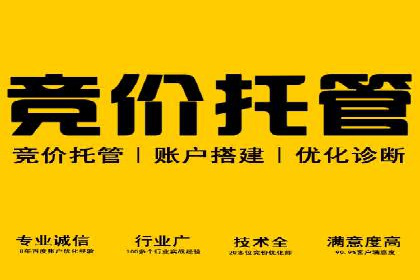 百度推广平台案例剖析：揭秘广告投放策略